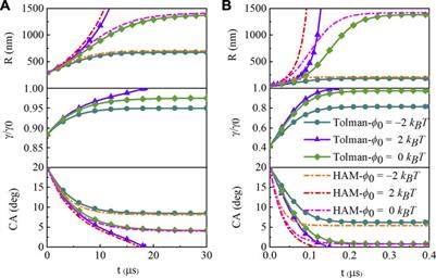 Effects of Surface Tension on the Stability of Surface Nanobubbles